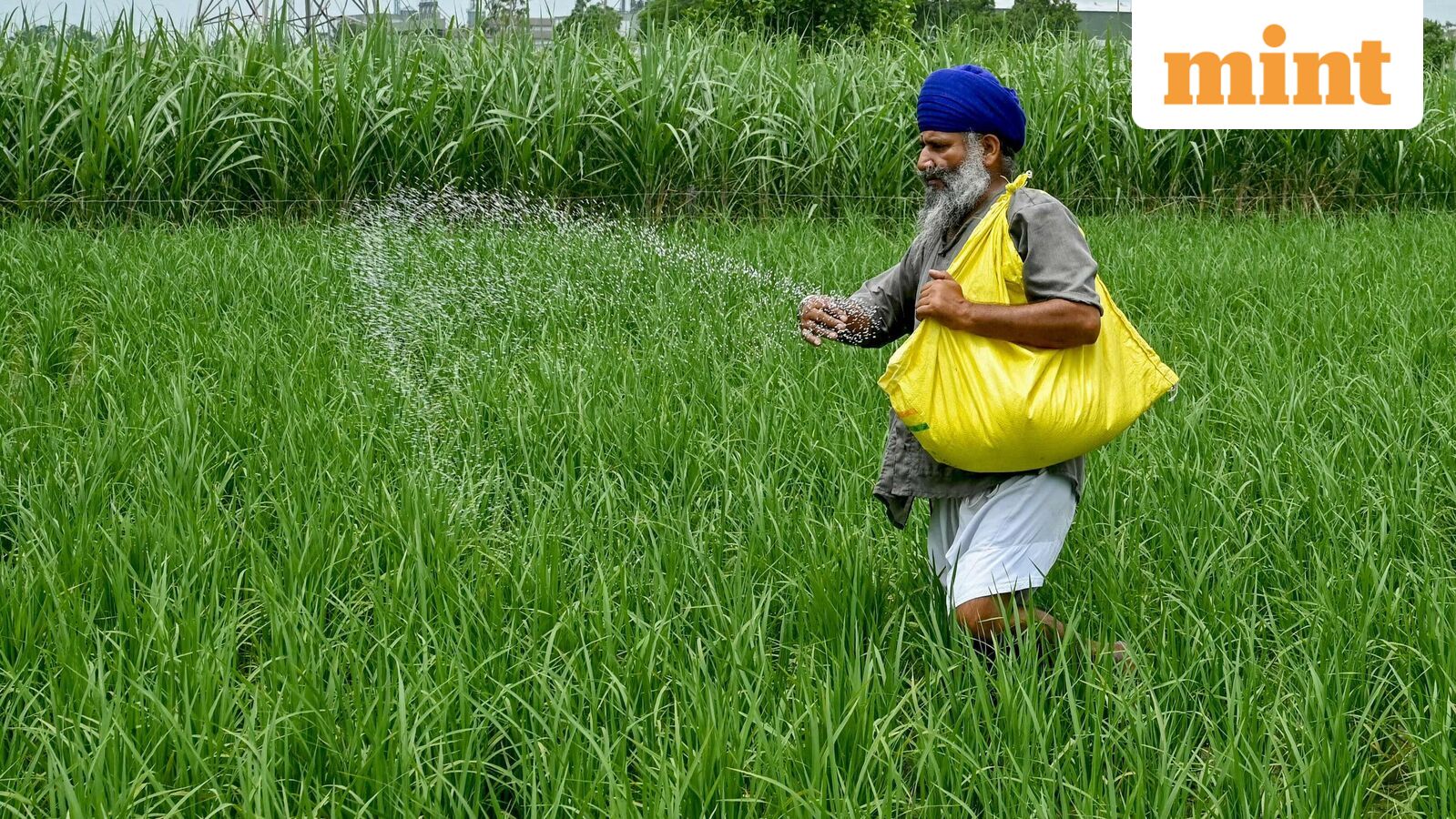 RCF FPO: PSU stock Rashtriya Chemicals and Fertilizers declares  ₹1500 crore fundraise. Details here