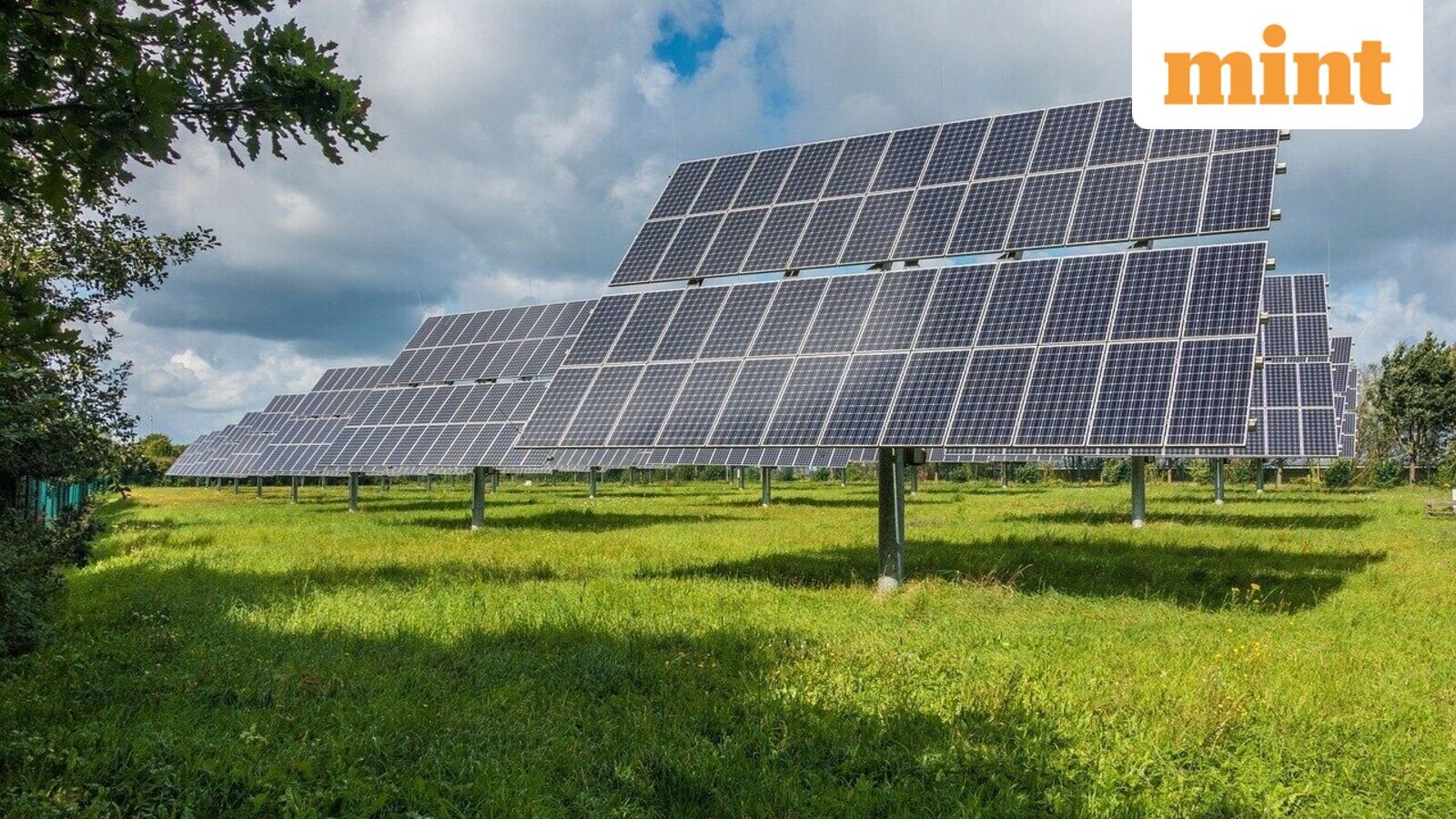 Waaree Energies share price fell 6% despite strong Q1 results 2026; here's why