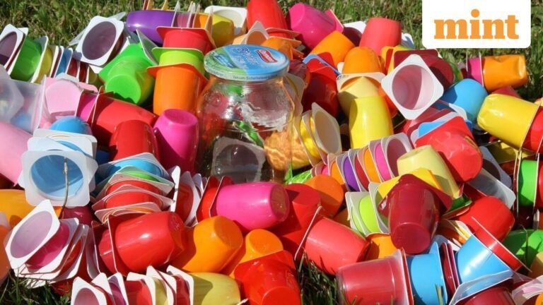 Mold-Tek Packaging Q1 results: Net profit jumps 14% YoY to  ₹25.6 crore; revenue crosses  ₹300 crore