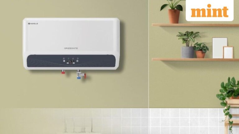 Havells India’s margin recovery hinges on easing A&amp;P spends, price hikes after weak Q1