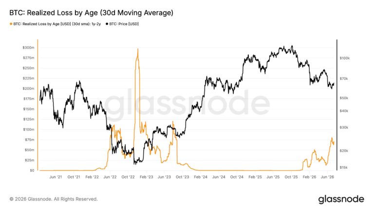 Bitcoin Realized Losses Join A Growing Number Of Early BTC Price Bottom Signals
