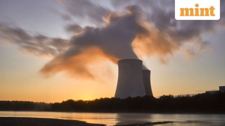 Why Hindalco wants to build a nuclear reactor