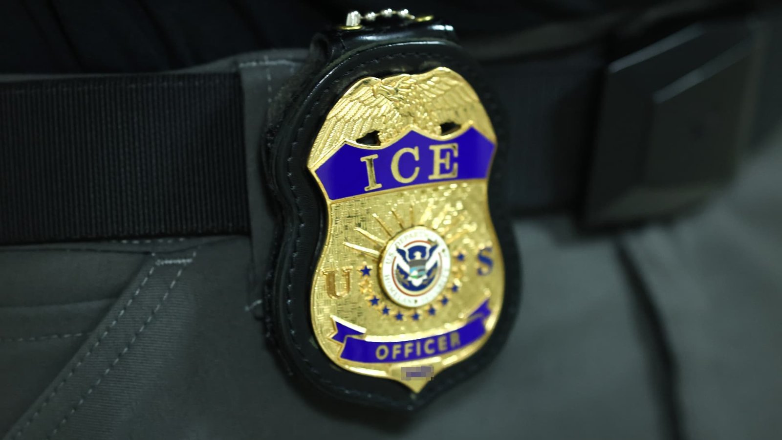 Trump's deportation agenda raised prices, contracted local economies, immigration group says