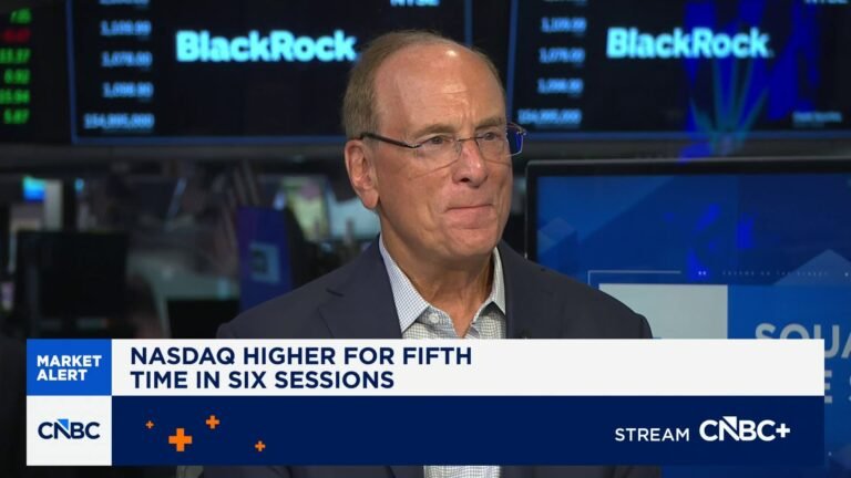 BlackRock CEO Larry Fink: I'm very bullish on the markets over the next 12 months