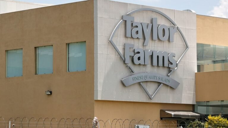 Taylor Farms recalls salsa and guacamole over salmonella risk