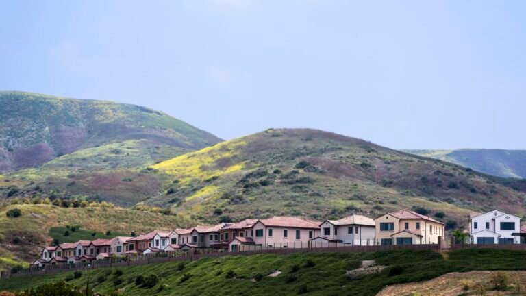 Property Play: Foreigners are buying fewer U.S. properties, but luxury homebuilders still draw them in