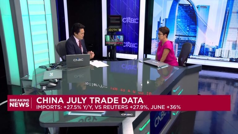 China's July export numbers lower than June, but 'nothing to sniff at,' says economist