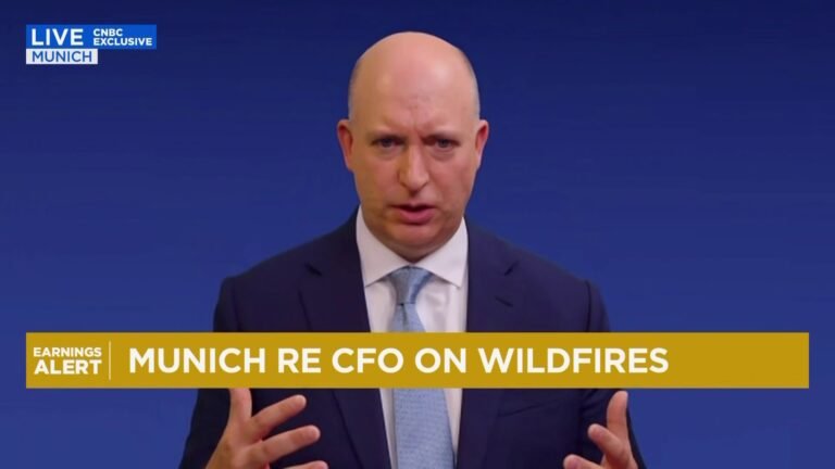 The natural catastrophe business is properly priced, says Munich Re CFO