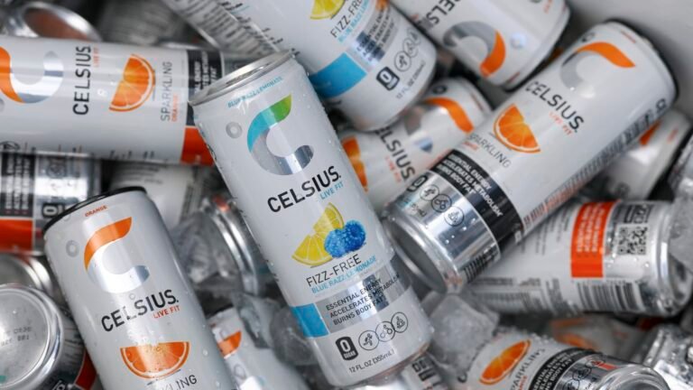 Rockstar Energy founder builds Celsius stake, wants to take over as CEO