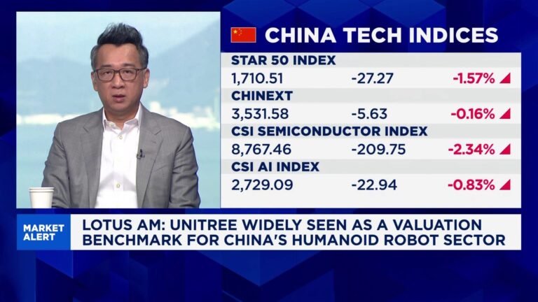 Are Unitree's humanoid robots worth the hype, or do investors just want in on the sector?