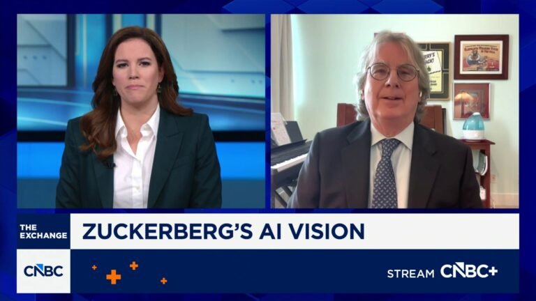 Meta is not well positioned in the AI race, says Elevation Partners' Roger McNamee