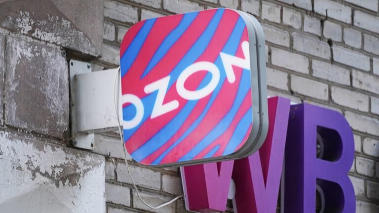 Ukrainian drones kill several, hit warehouse of Russian online retailer Ozon