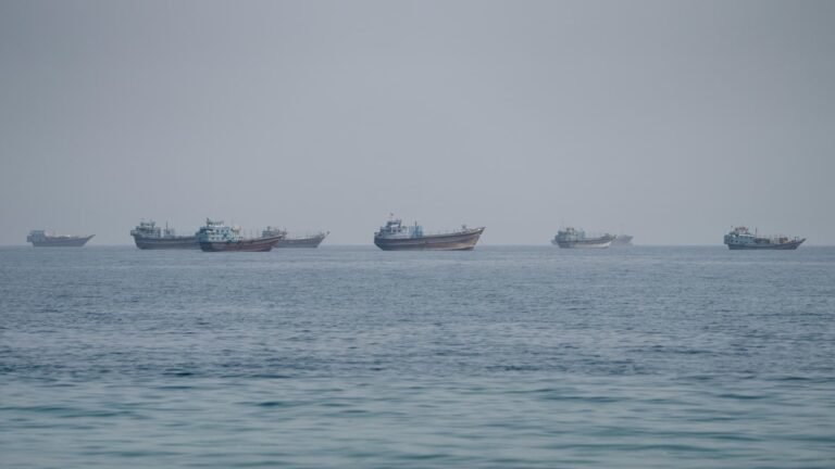 Iran and Oman discuss joint shipping route in Strait of Hormuz and mine clearing mission