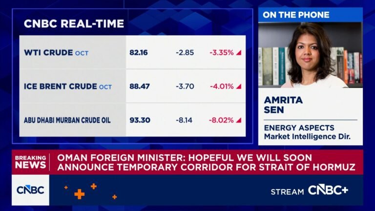 Very skeptical on Oman-Iran deal regarding the Strait of Hormuz, says Energy Aspects' Amrita Sen