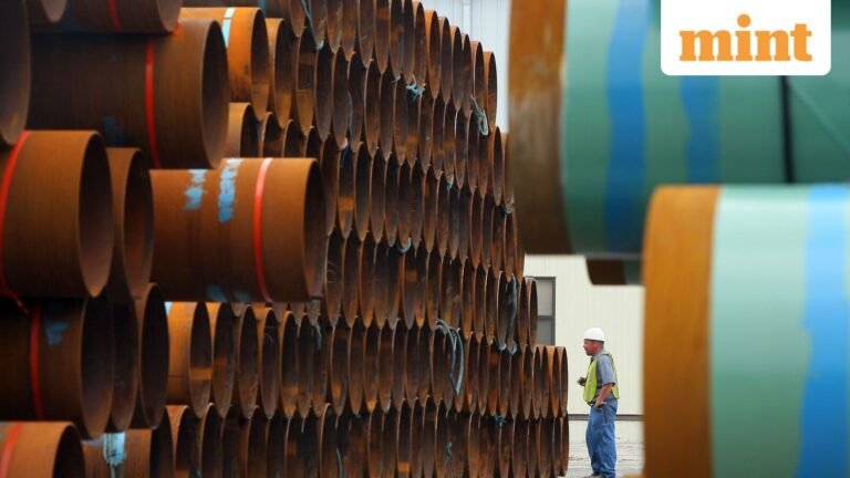 Welspun Corp's euphoric investor reaction to US order comes with risks