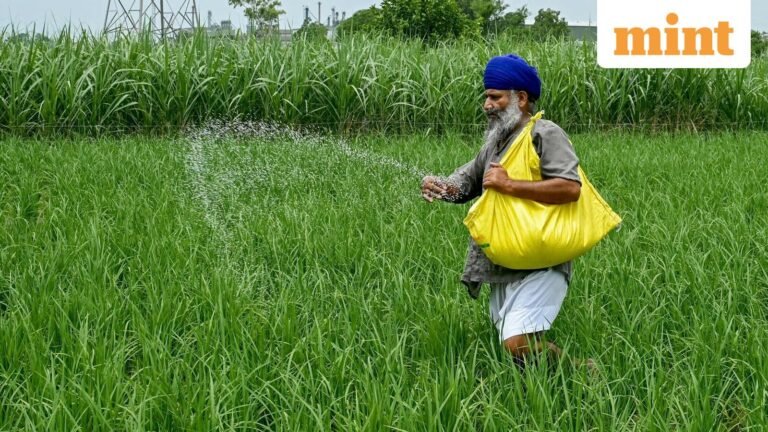 Ammonia price relief lifts fertilizer stocks’ outlook