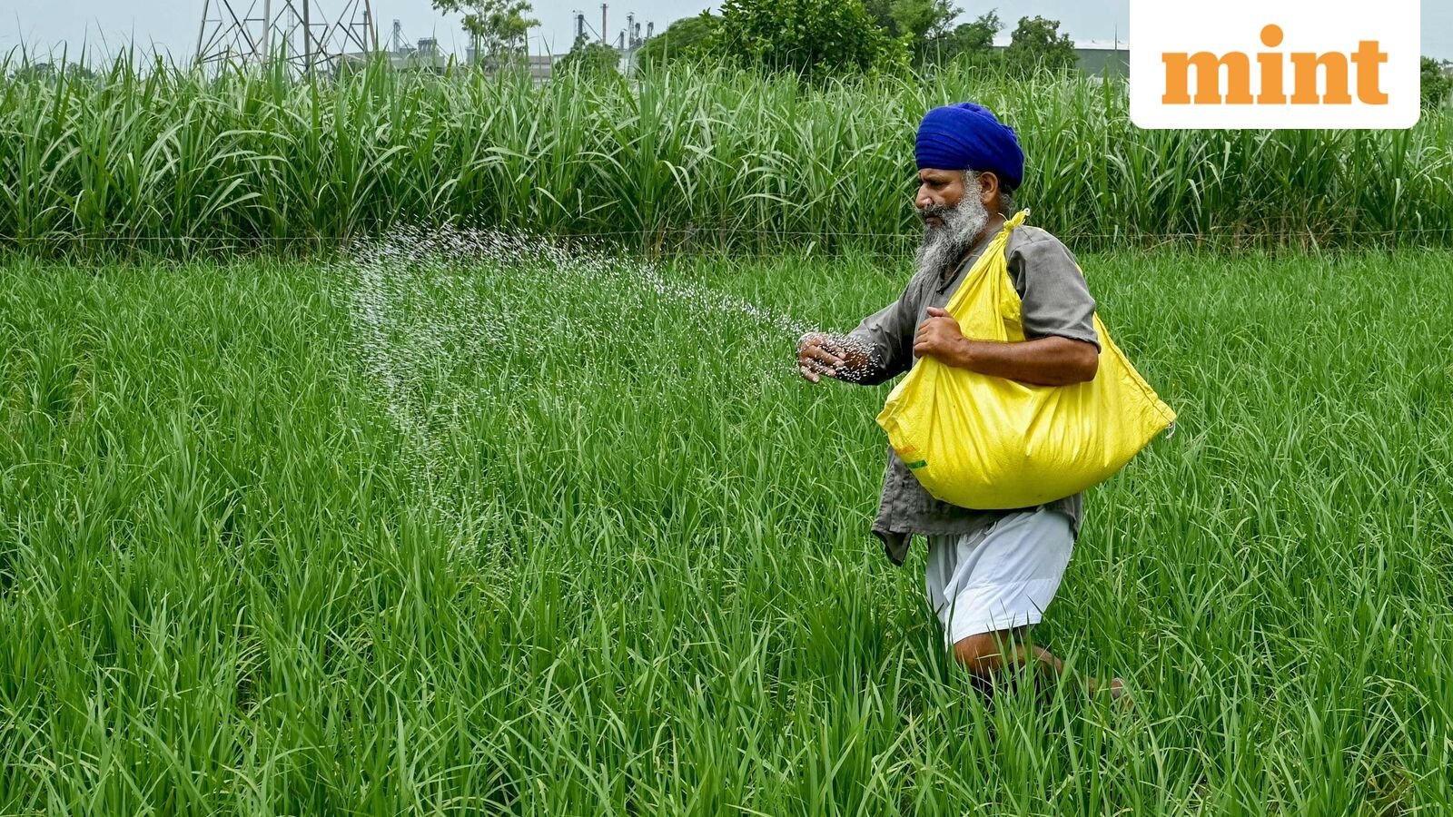 Ammonia price relief lifts fertilizer stocks’ outlook