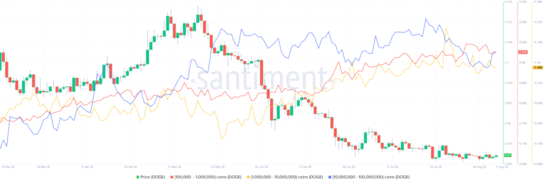 Dogecoin Price Forecast: Bullish divergence, whale accumulation support recovery hopes
