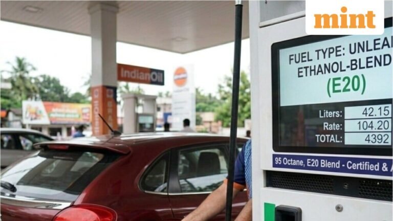 FIIs up stakes in these 3 ethanol stocks as India pushes E20 fuel goals