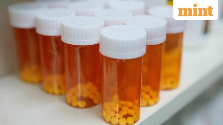 Gland Pharma Q1 Results: Net profit jumps 47% YoY to  ₹317 crore; CDMO revenue rises 20%