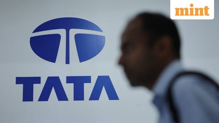 What are the big plans of the Tata Group?
