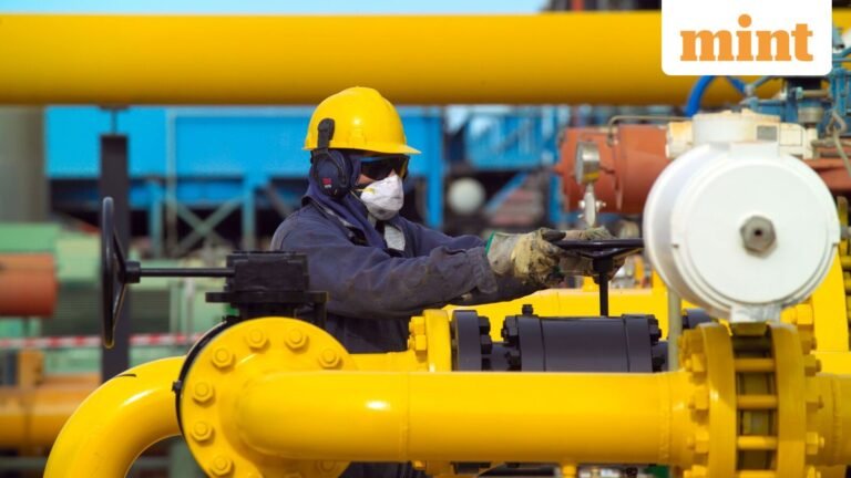 For city gas distributors, policy support is short-term relief, at best