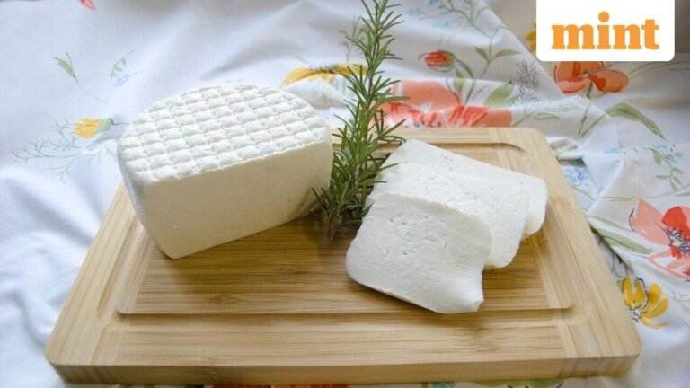 Milky Mist Dairy Food IPO Day 3 LIVE: GMP, subscription status to review. Apply or not?