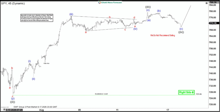 SPY Elliott Wave outlook incomplete bullish cycle supports advance [Video]