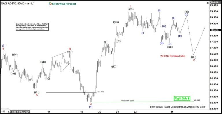 Silver Elliott Wave perspective: Upside momentum builds in wave five [Video] | FXStreet