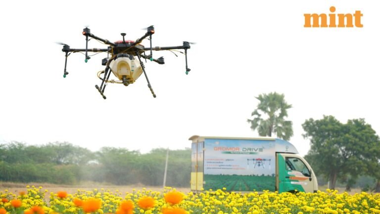 Why did FACT, RCF, NFL and other fertiliser stocks rally up to 14% today? Explained