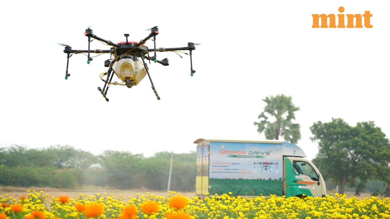 Why did FACT, RCF, NFL and other fertiliser stocks rally up to 14% today? Explained