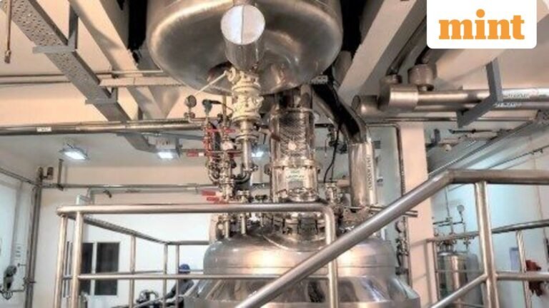 Symbiotec Pharmalab IPO Day 1 LIVE: GMP, subscription status, review, issue size, other details. Should you apply?