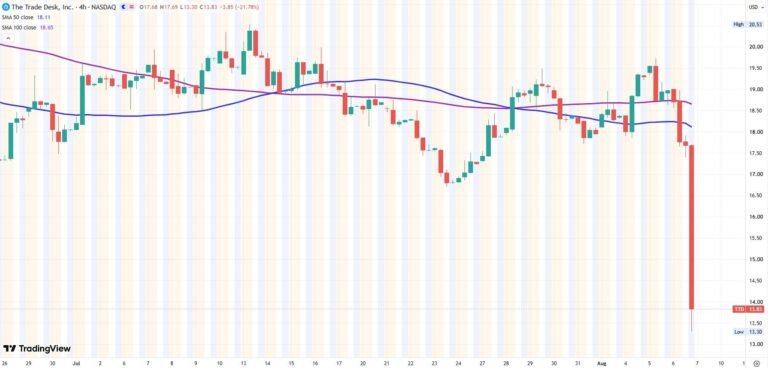 The Trade Desk Q2 earnings chart