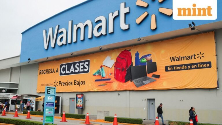 Walmart shares plunge 10% to 9-month low after slowest US sales growth in six years