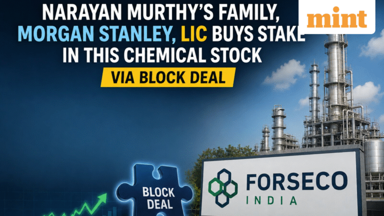 Narayan Murthy's family, Morgan Stanley, LIC buys stake in this chemical stock | Do you own?