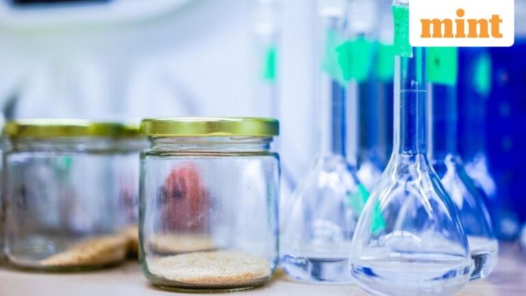 Navin Fluorine’s new refrigerant capacity seen adding to its CDMO momentum