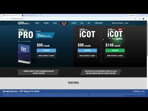Youtube preview
