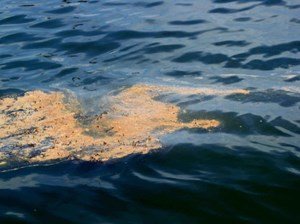 Iran responds to oil spill near Qeshm Island in Persian Gulf
