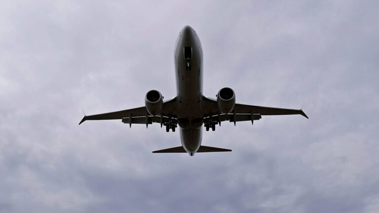 Boeing flags 737 Max software glitch affecting some automated approach functions