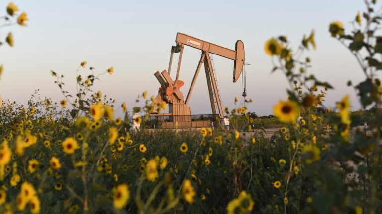 Buy these cheap dividend-paying energy stocks, Goldman Sachs says