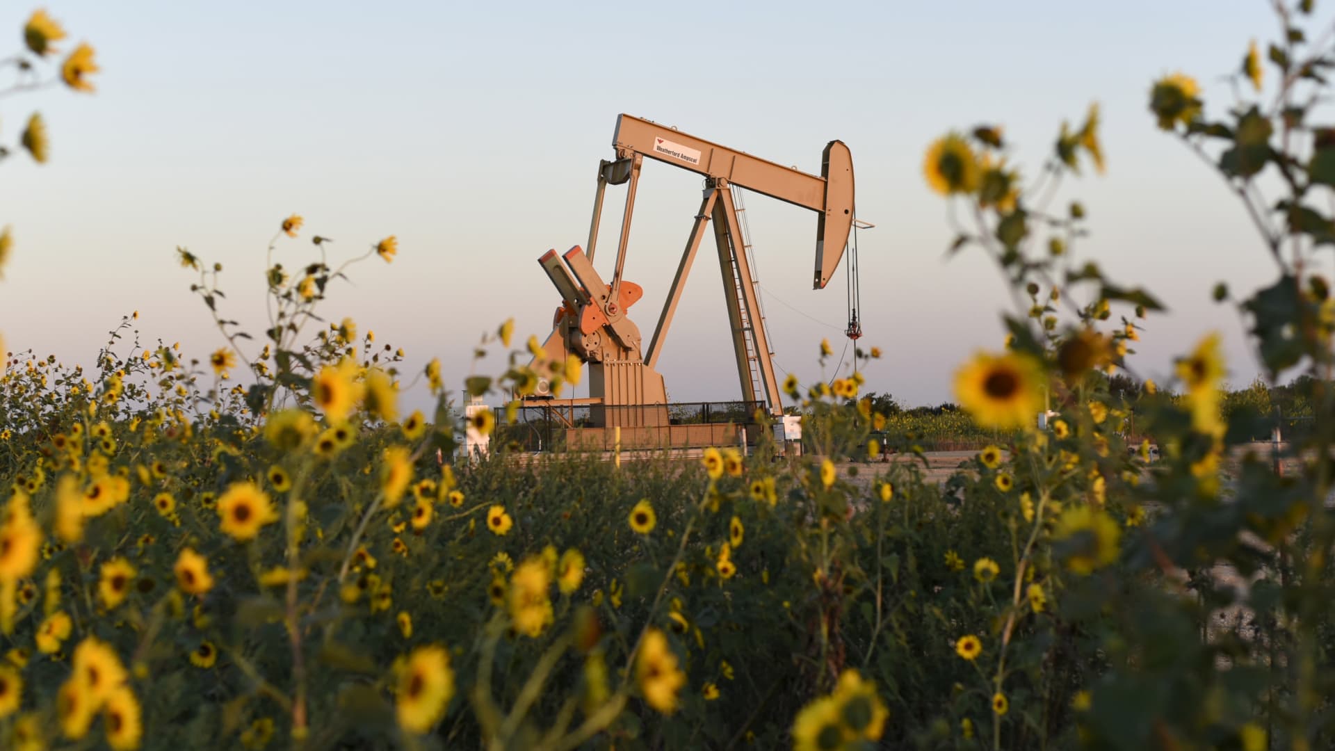 Buy these cheap dividend-paying energy stocks, Goldman Sachs says