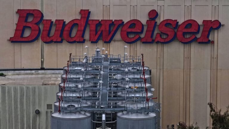 Budweiser's parent is a buy thanks to its strong presence in emerging markets, says Deutsche Bank