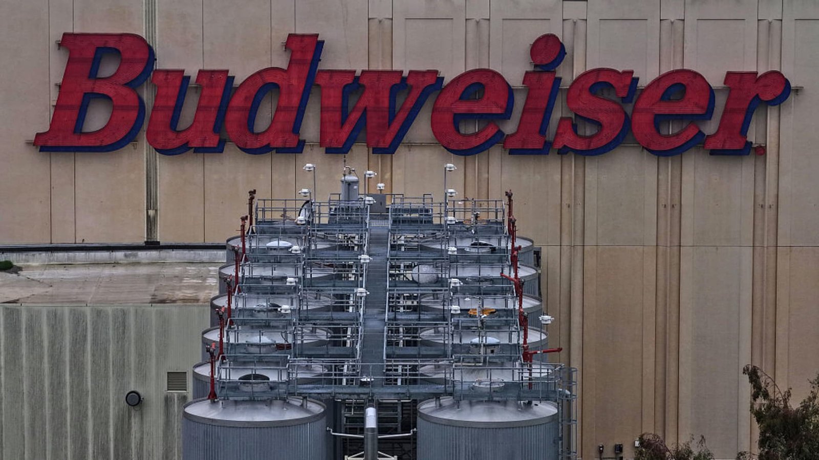 Budweiser's parent is a buy thanks to its strong presence in emerging markets, says Deutsche Bank