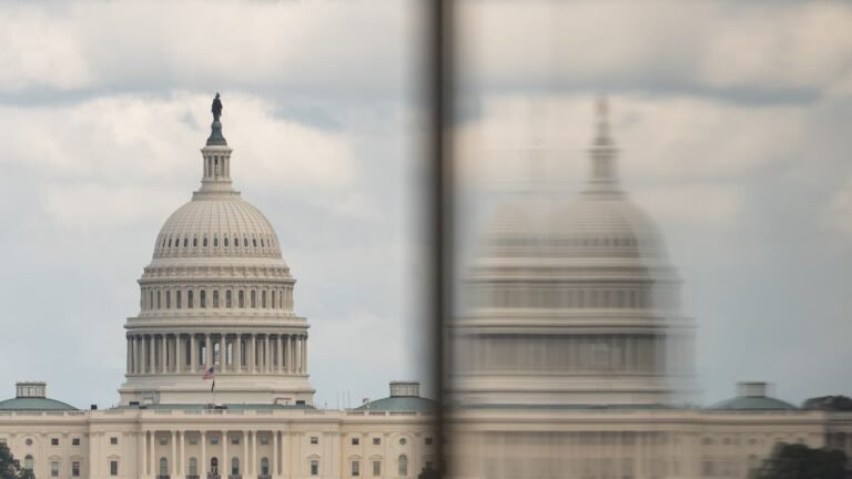 House Speaker Johnson says he hopes AI guardrails are 'voluntary' amid Congress inaction