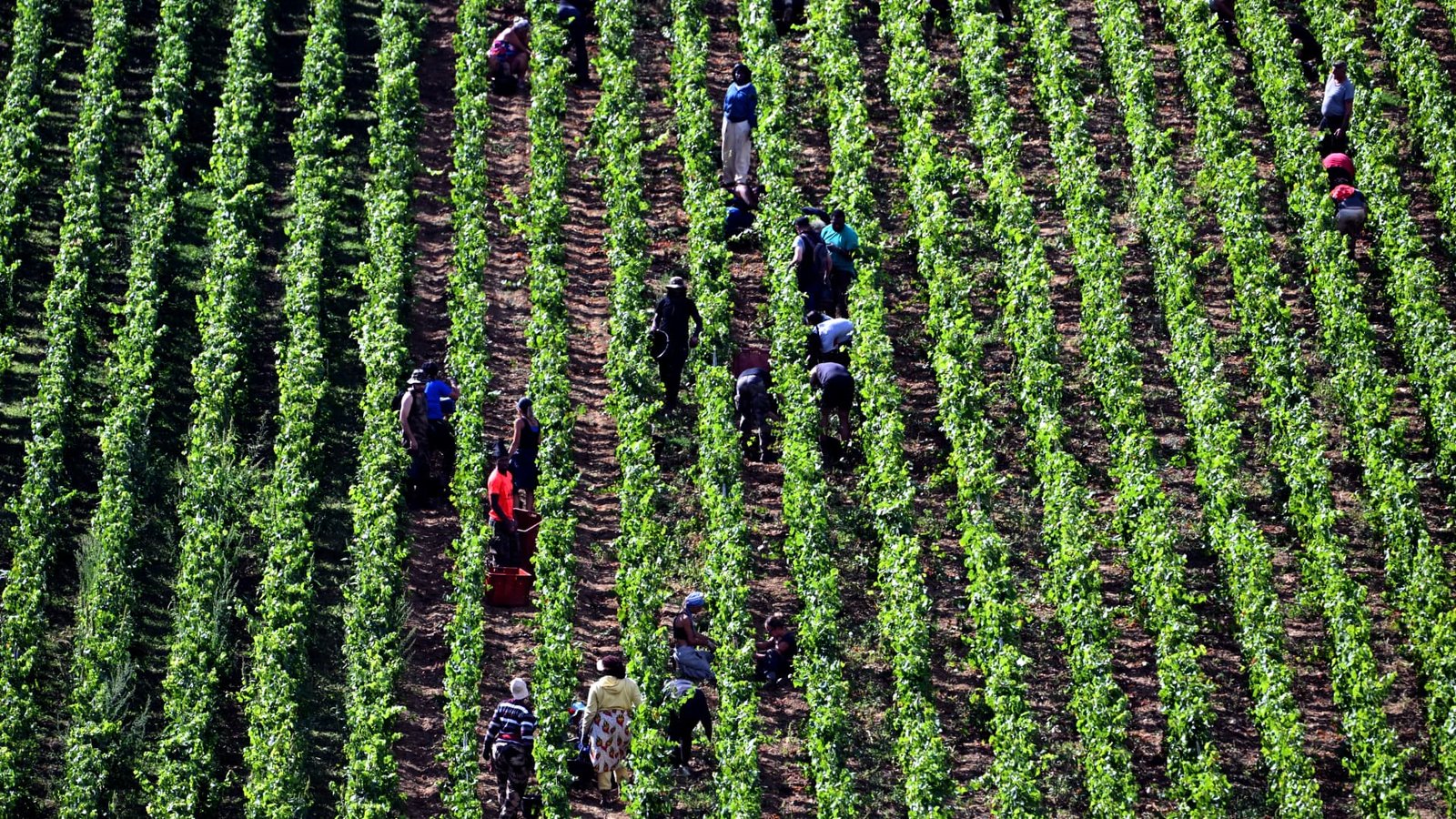 Agriculture stocks are breaking out. Jay Woods says watch these levels