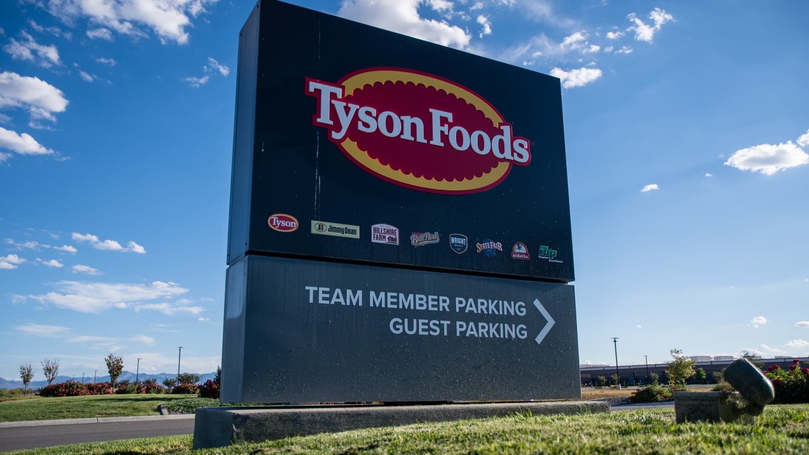 Tyson Foods is set to come back on several tailwinds, JPMorgan says