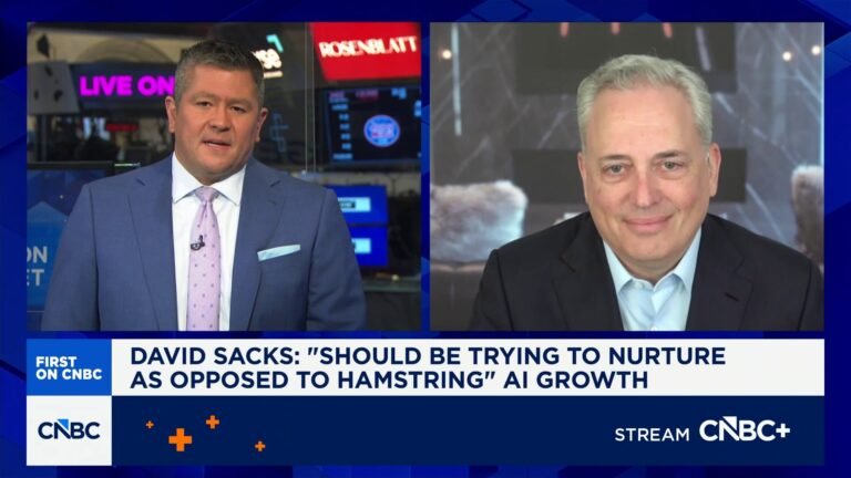 David Sacks: AI companies are behaving responsibly, no need for over-regulation