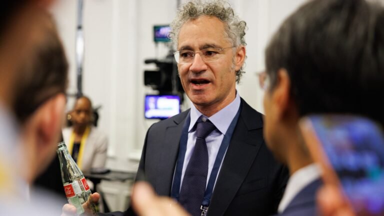 AI needs to have 'reasonable guidelines,' Palantir's Karp tells CNBC