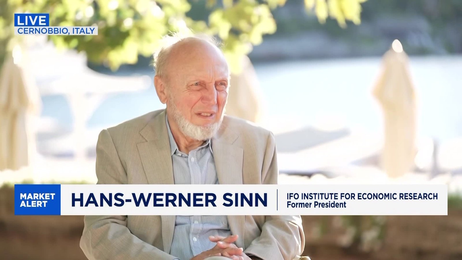 Hans-Werner Sinn: Rise of the AfD is a big threat