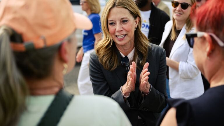 Assailant lunged at Democratic candidate for Ohio governor Amy Acton at fair, campaign says